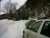IMG00543-20120119-1615.jpg
