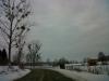 IMG00545-20120119-1638.jpg