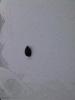 IMG_20130113_125621.jpg