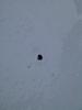 IMG_20130113_130422.jpg