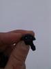 IMG_20130113_130321.jpg