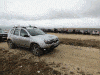 post-1243-0-21496900-1393505401_thumb.gif