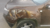 post-959-0-47036500-1454770464_thumb.png