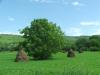 DSCF8610.JPG