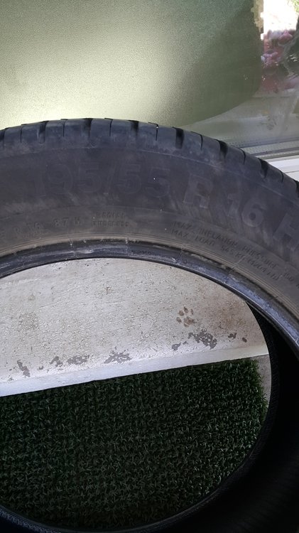 20180409_123258.jpg
