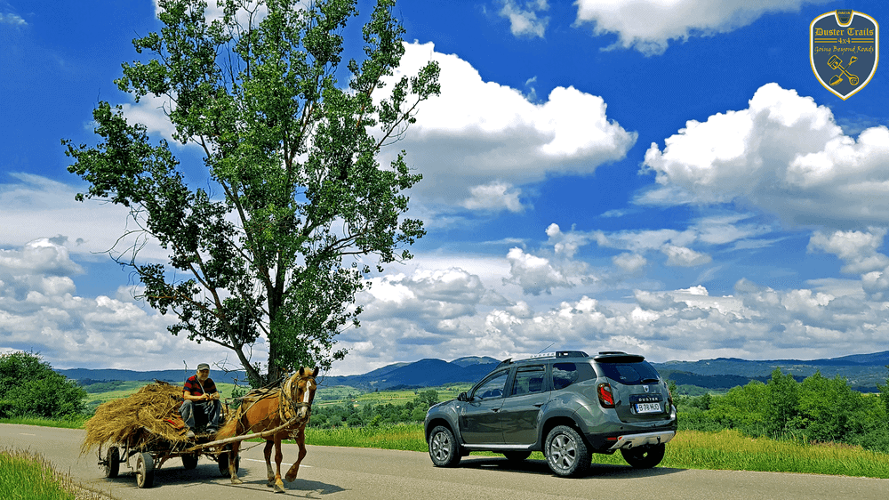 tHE dUSTER eXPERIENCE.png