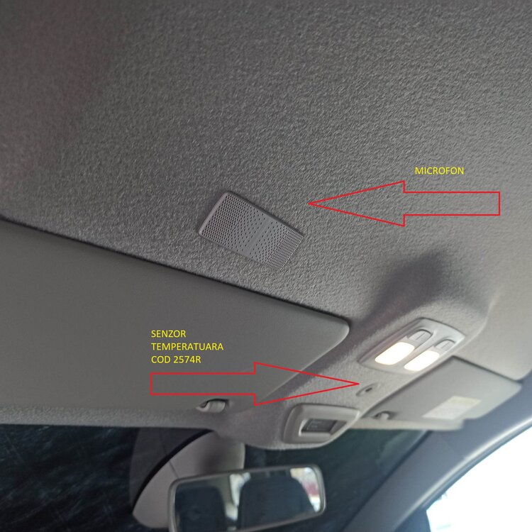 POZITIONARE MICROFON DUSTER.jpg