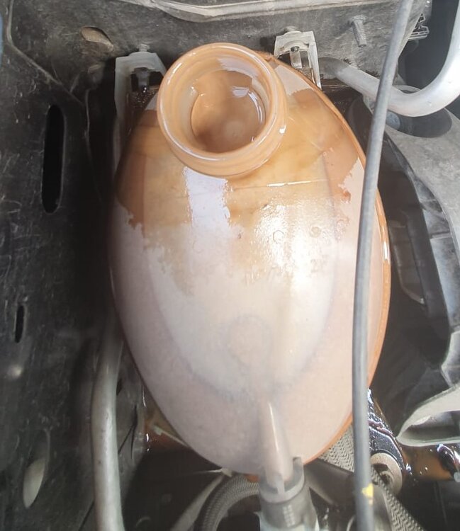 WhatsApp Image 2023-06-12 at 15.53.13.jpeg