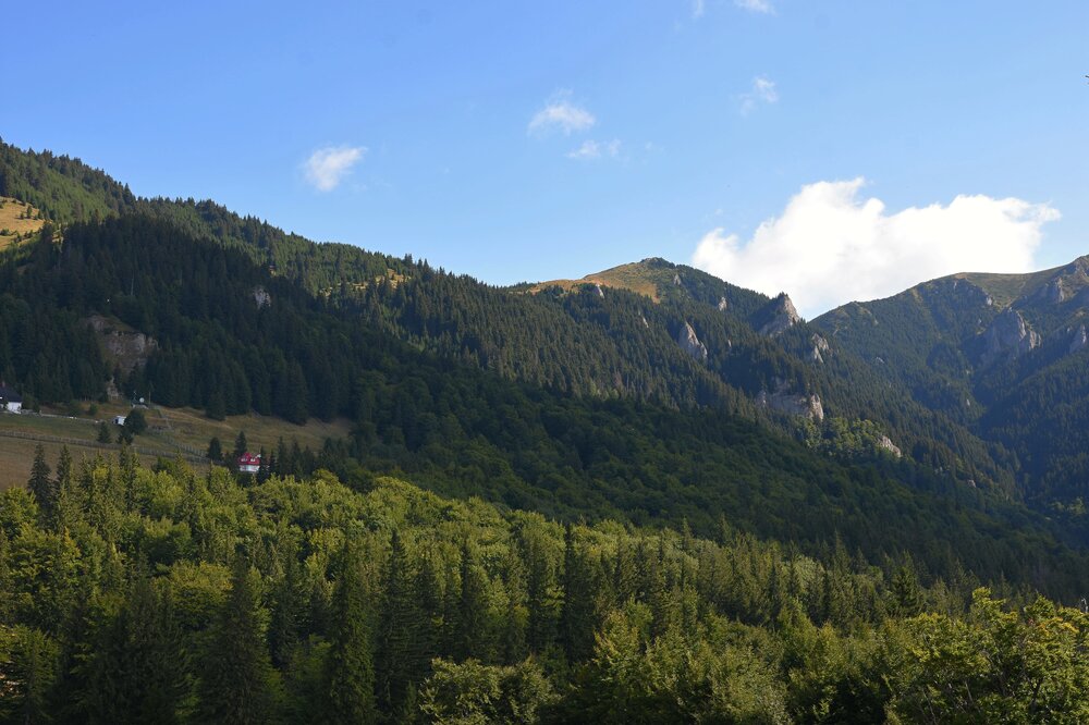 DSC_7983.jpg