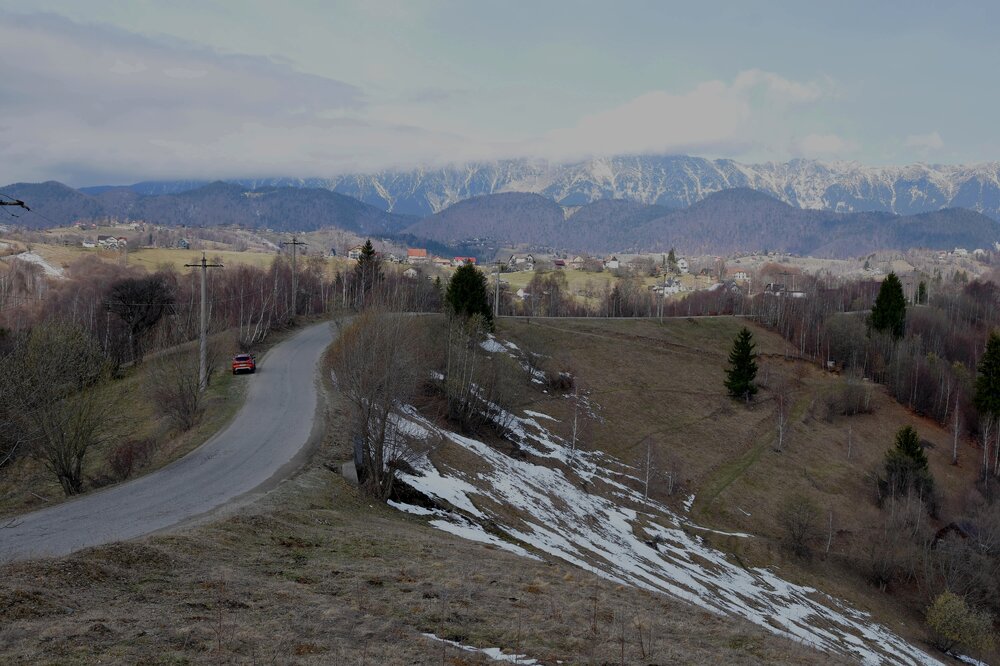 DSC_9036.jpg