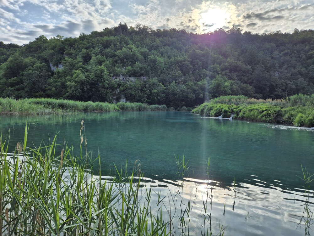 20250627_072918.jpg